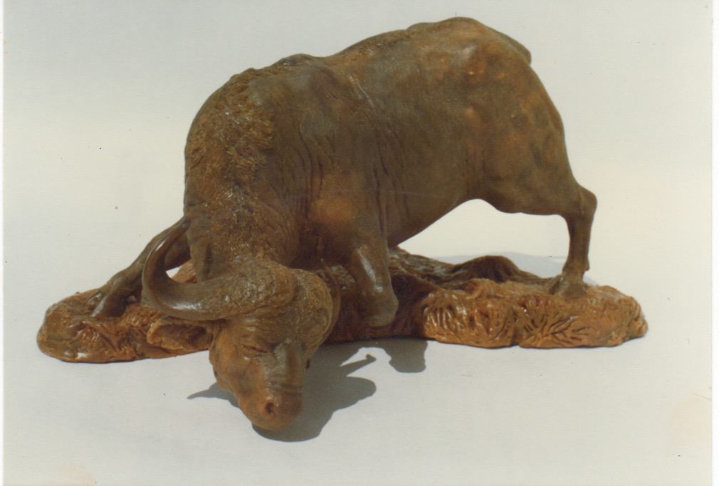 Cape Buffalo - Wax model - detail 003 - Image