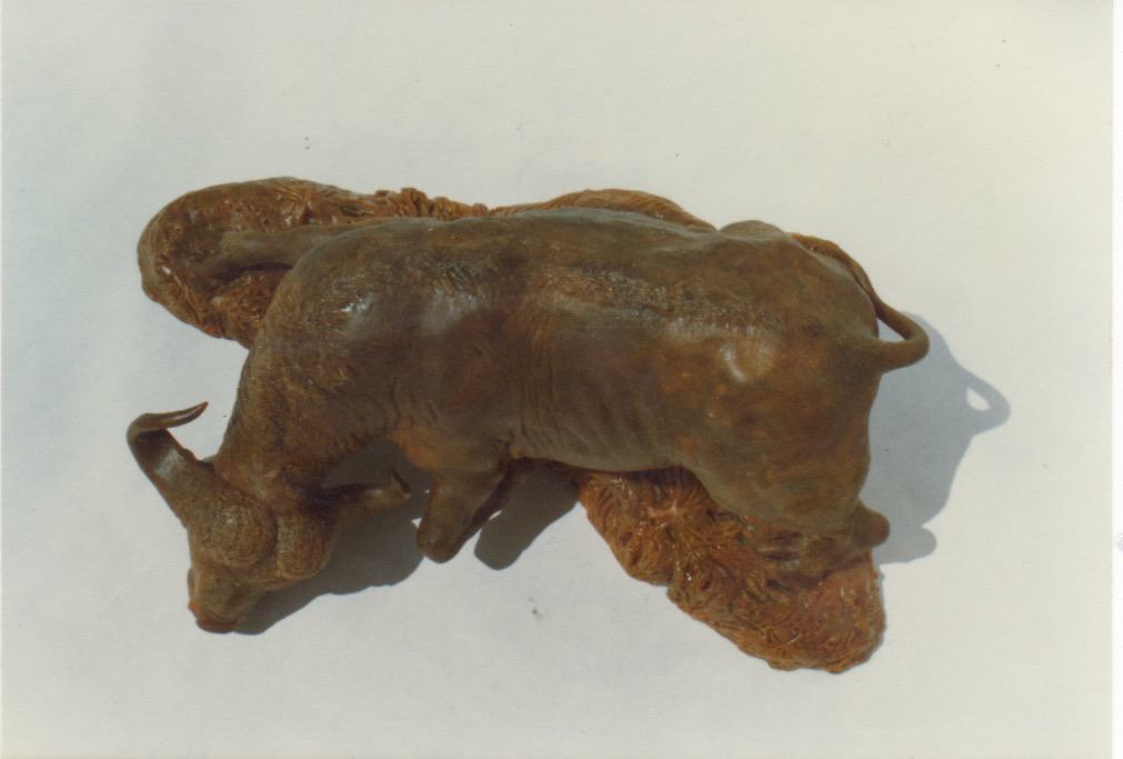 Cape Buffalo - Wax model - detail 001 - Image
